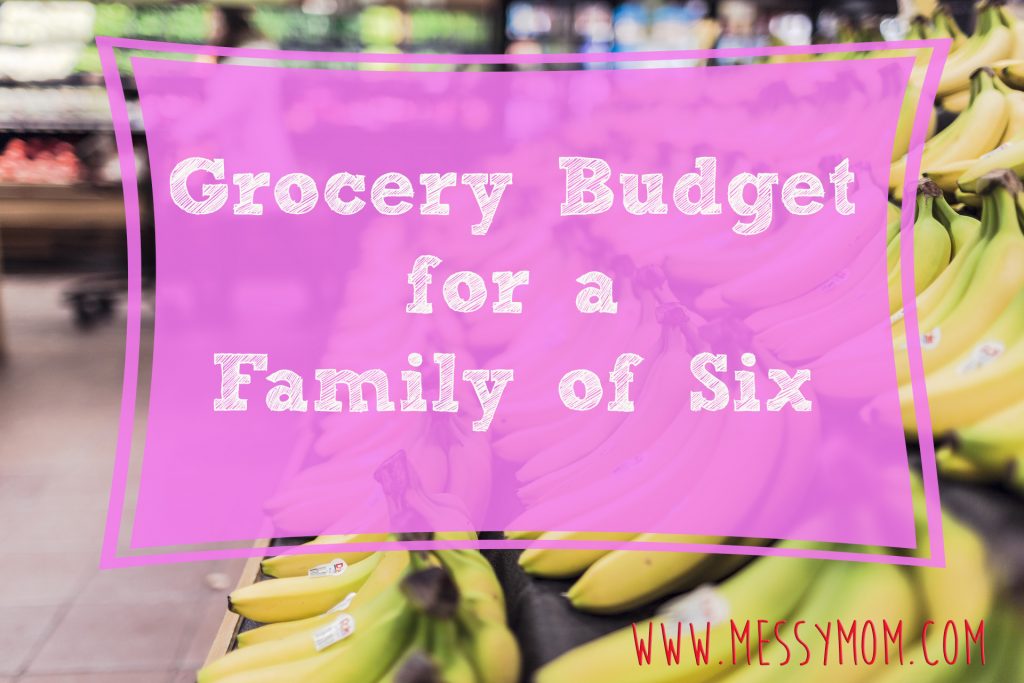 How Much Should You Be Spending on Groceries? Messymom